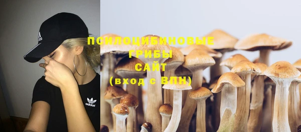не бодяженный Вяземский
