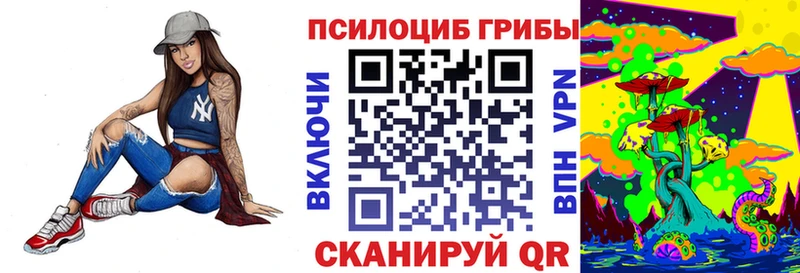 Галлюциногенные грибы Psilocybine cubensis  наркота  Минеральные Воды 