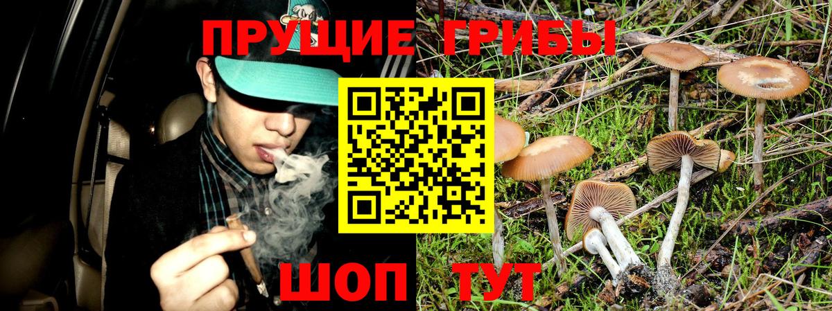Псилоцибиновые грибы Magic Shrooms Минеральные Воды