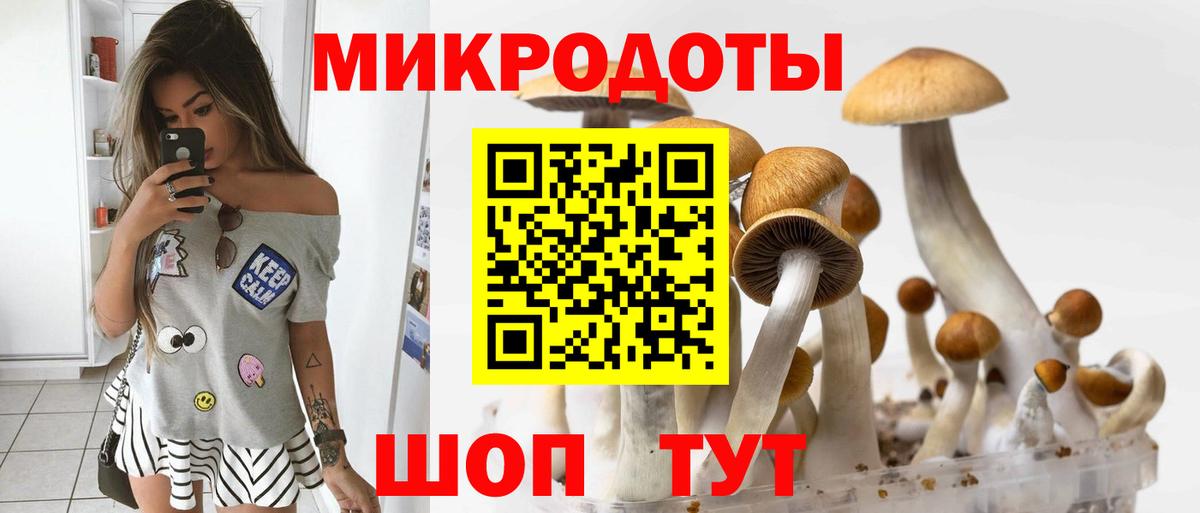 Псилоцибиновые грибы MAGIC MUSHROOMS  Галлюциногенные грибы мицелий  Минеральные Воды  Вход с VPN 